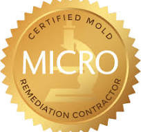 Mold_Redemtion_Certification_371593